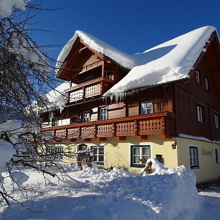 Linarhof Apartment Urlaub Am Bio Bauernhof Haus im Ennstal Exteriör bild