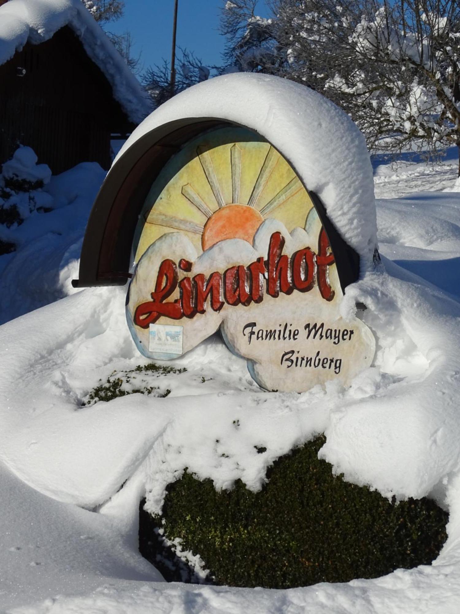 Linarhof Apartment Urlaub Am Bio Bauernhof Haus im Ennstal Exteriör bild