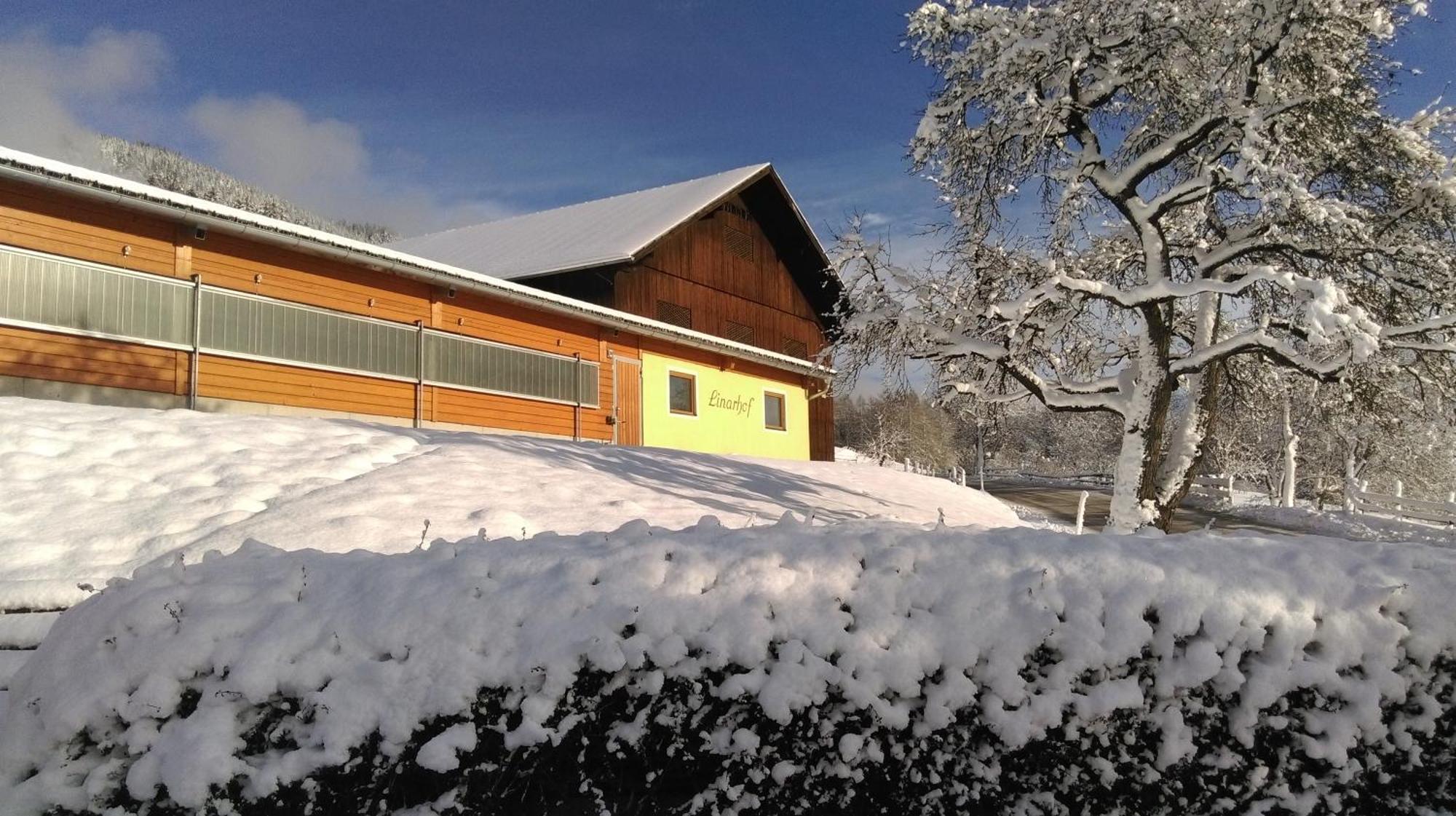 Linarhof Apartment Urlaub Am Bio Bauernhof Haus im Ennstal Exteriör bild