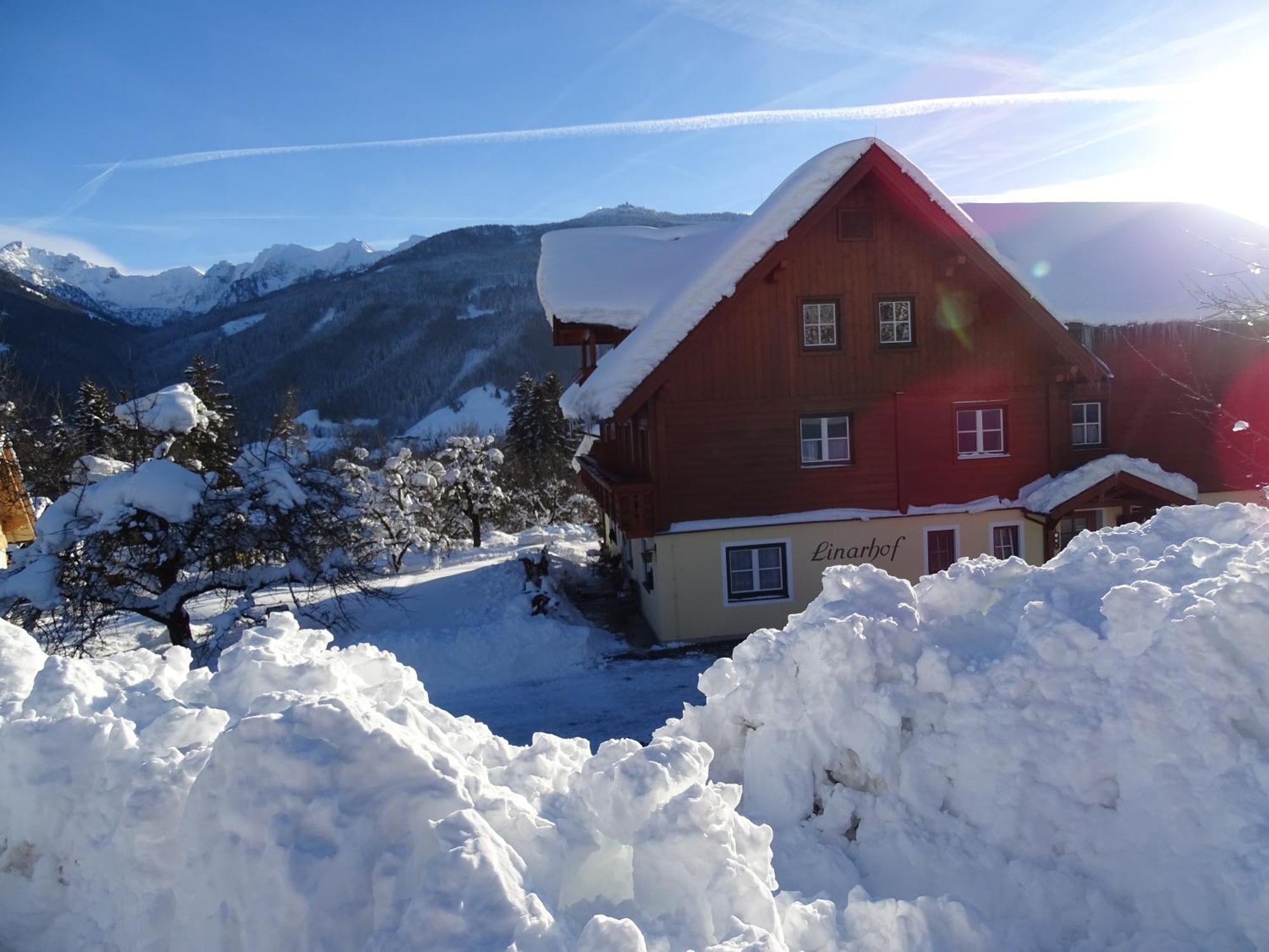 Linarhof Apartment Urlaub Am Bio Bauernhof Haus im Ennstal Exteriör bild