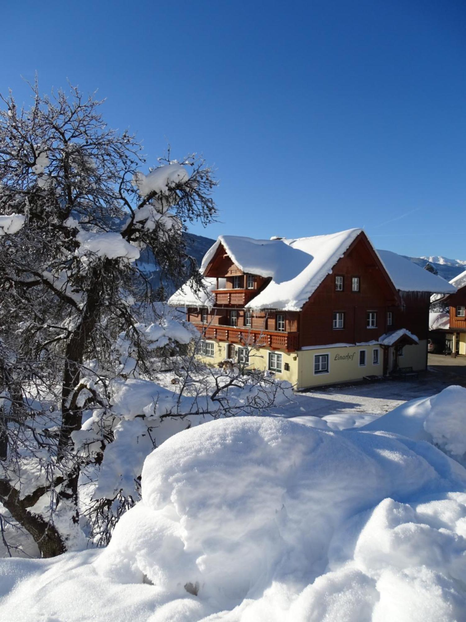 Linarhof Apartment Urlaub Am Bio Bauernhof Haus im Ennstal Exteriör bild