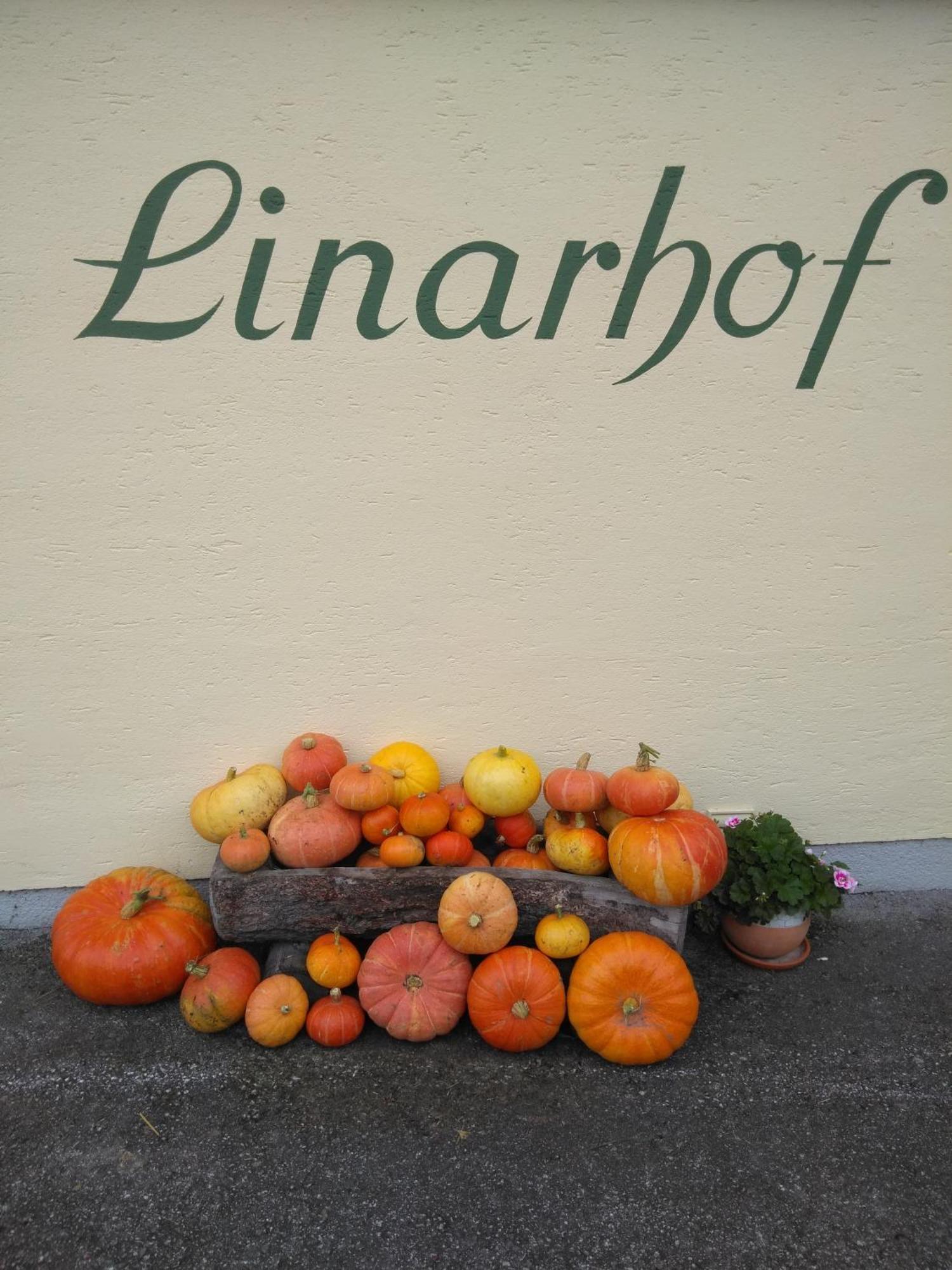 Linarhof Apartment Urlaub Am Bio Bauernhof Haus im Ennstal Exteriör bild