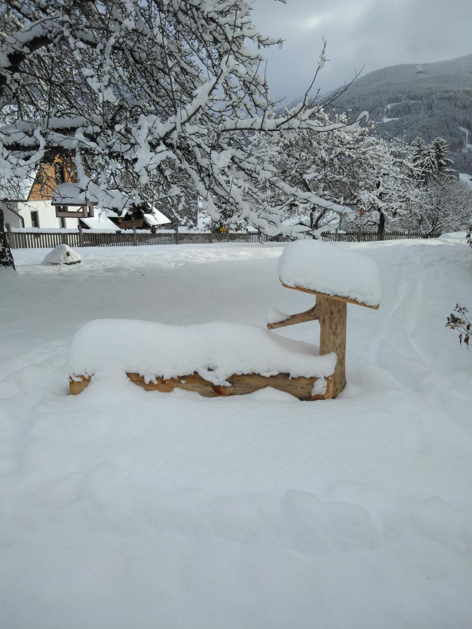 Linarhof Apartment Urlaub Am Bio Bauernhof Haus im Ennstal Exteriör bild
